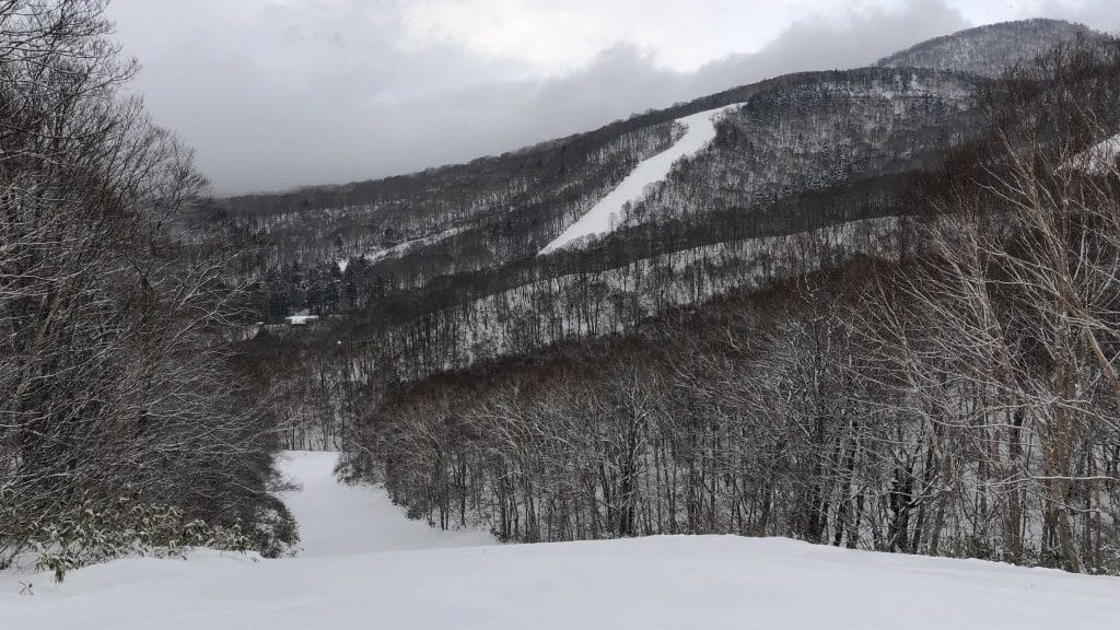Snow Report 2020-01-20 Togakushi Ski Resort